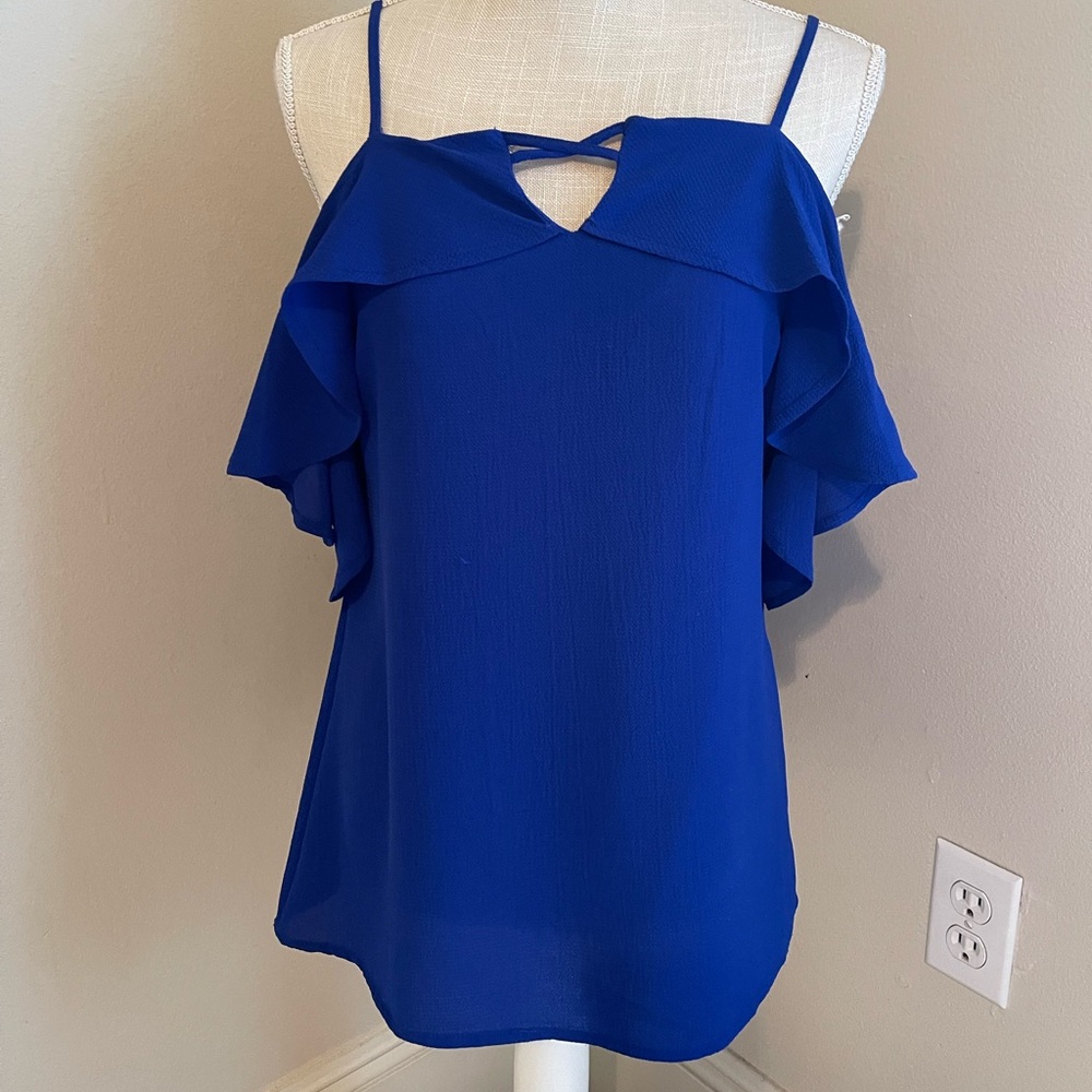 Skies are Blue size small, beautiful, cobalt, blue, cold, shoulder top